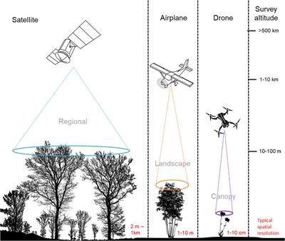 Remote Sensing of Floral Resources for Pollinators – New Horizons From Satellites to Drones